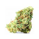 Godzilla_glue Godzilla_glue