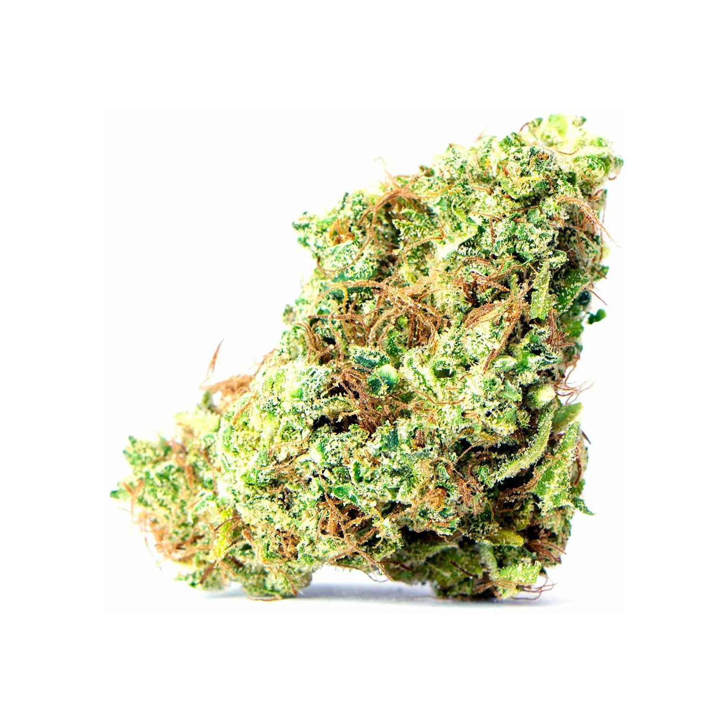 Godzilla_glue Godzilla_glue