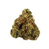 King Louis XIII