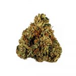 King-Louis-XIII King-Louis-XIII