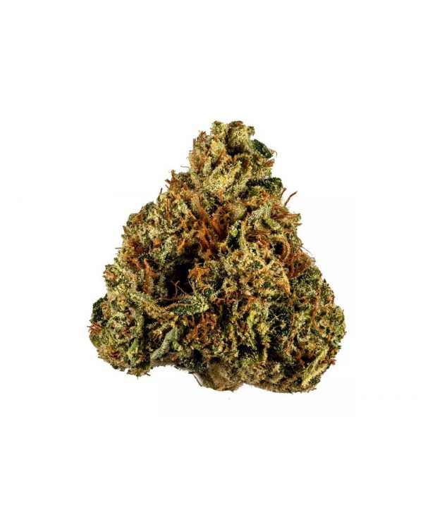 King-Louis-XIII