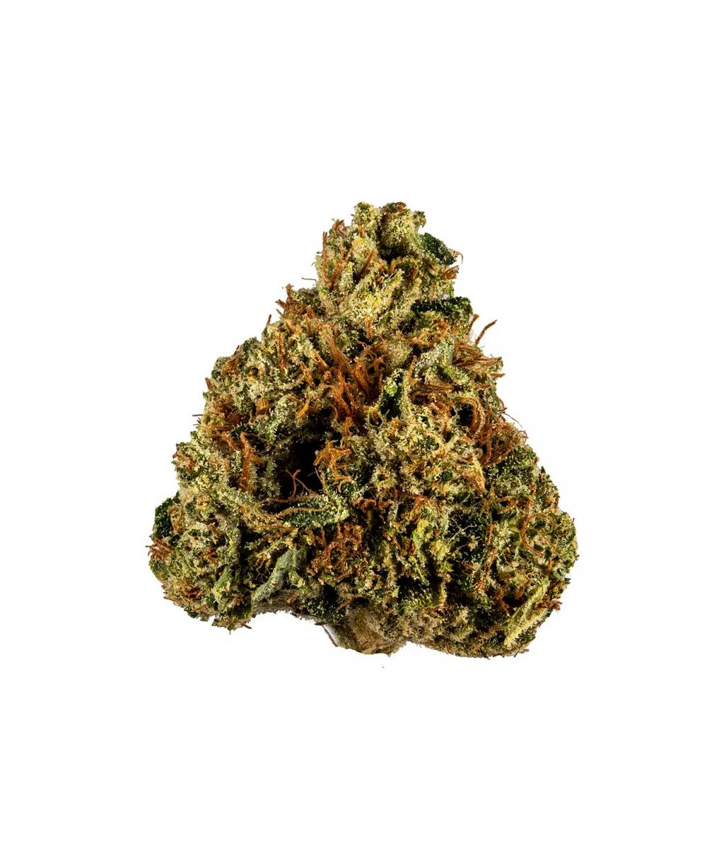 King-Louis-XIII King-Louis-XIII