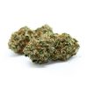 MK Ultra