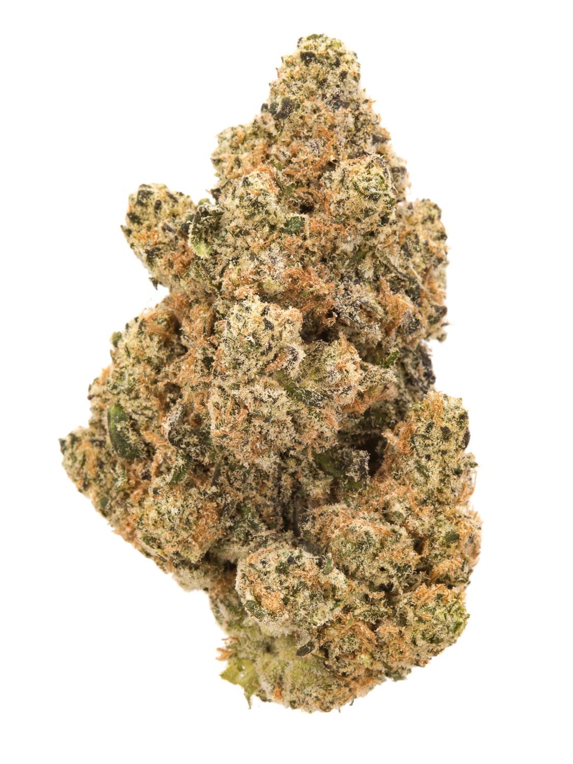 afghan-kush_1-1.jpg