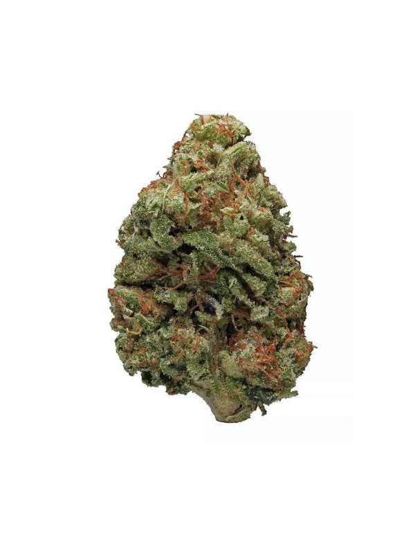 bruce_banner bruce_banner