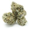 Chocolate OG