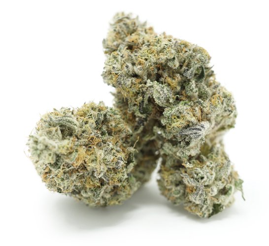 Chocolate OG