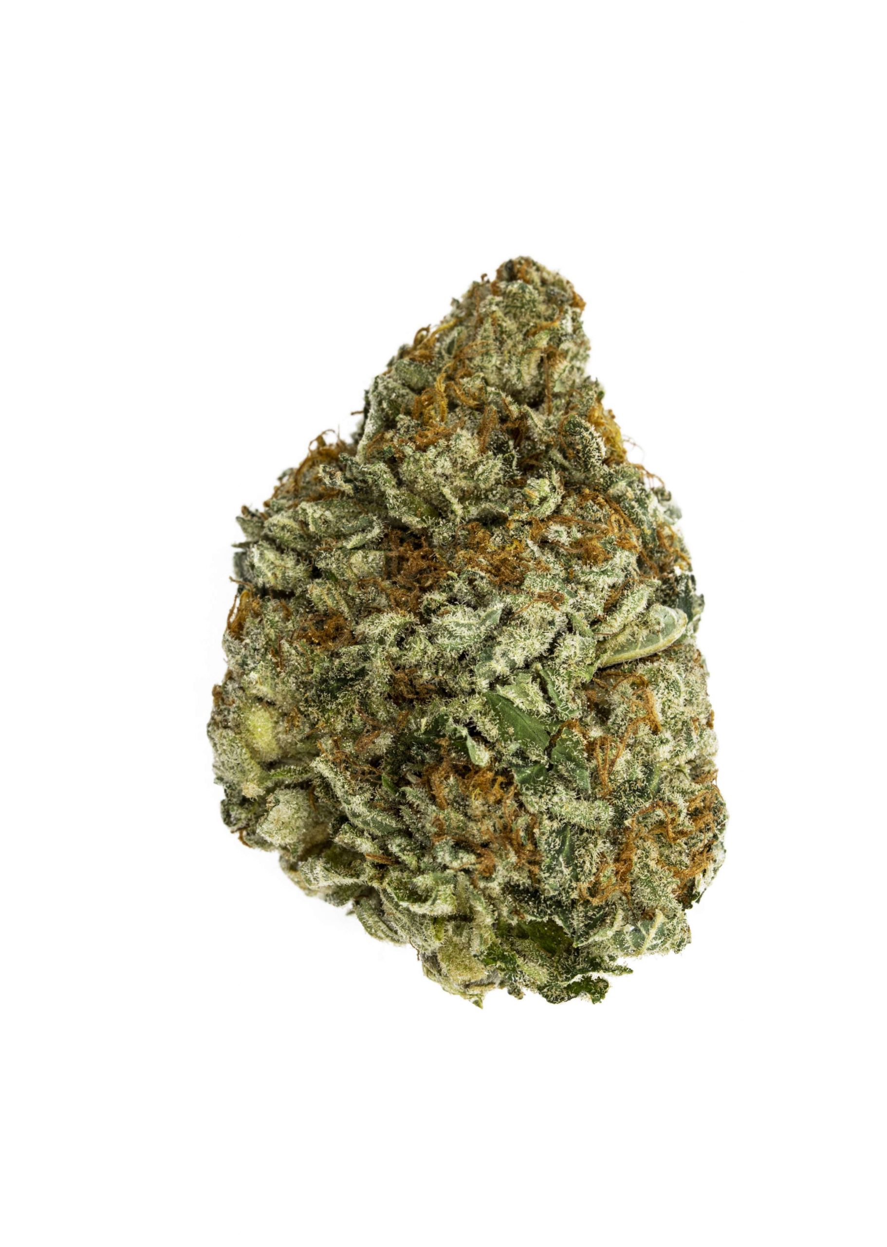 Death Bubba Death Bubba