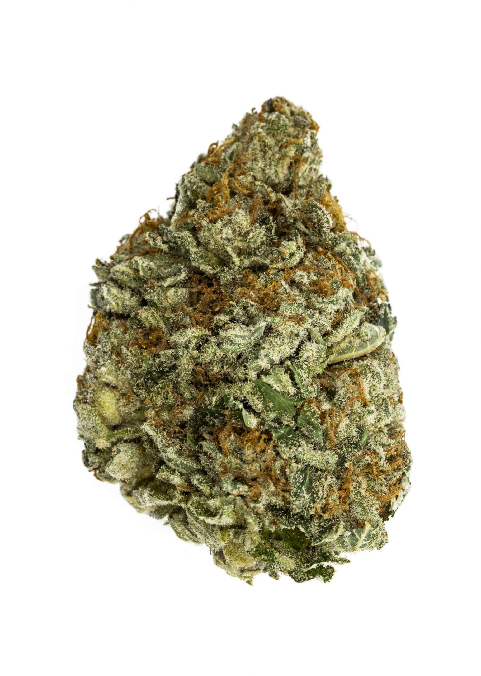 Death Bubba Death Bubba