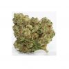 Ghost OG