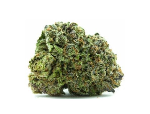 Grand Daddy Purps