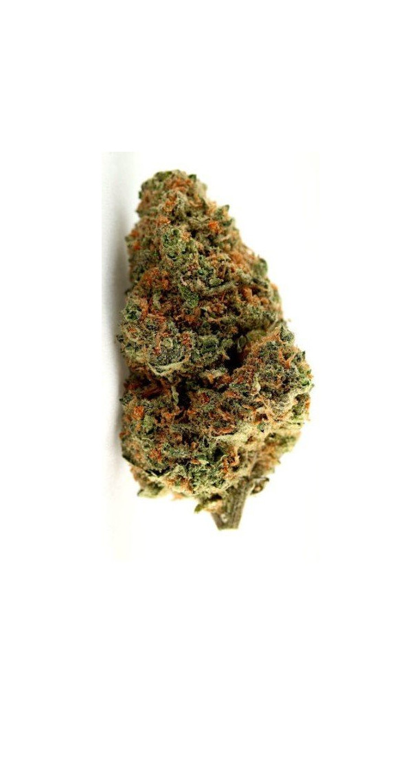 harry-potter-haze harry-potter-haze