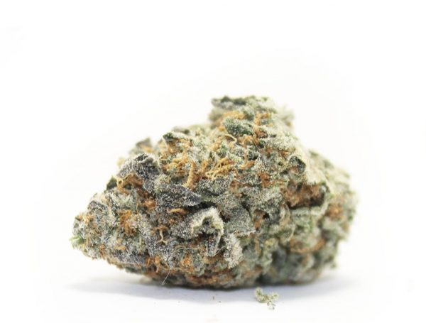 LA Grape