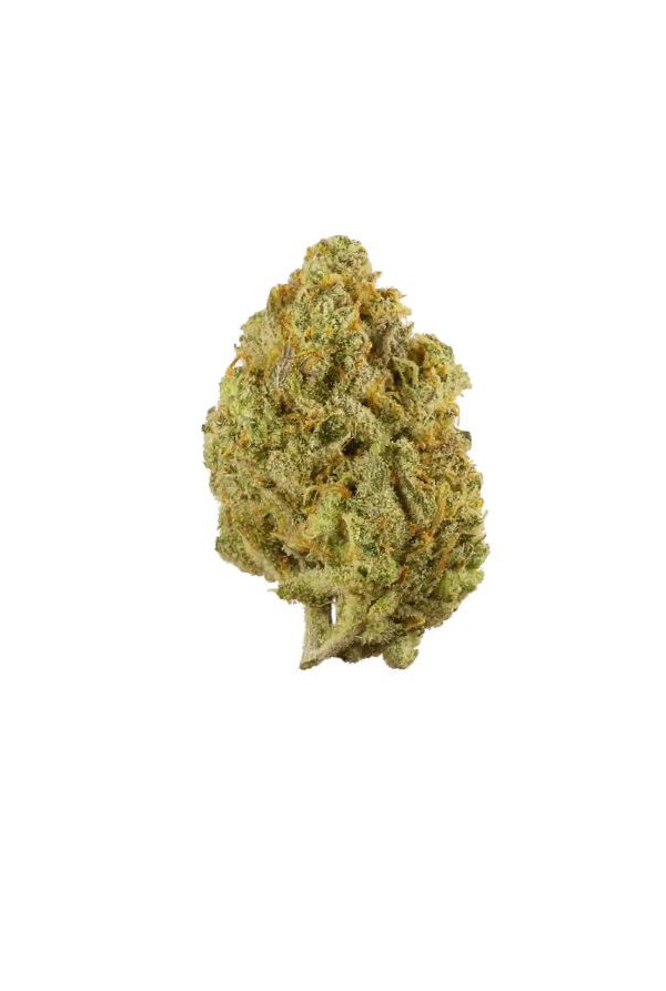 lemon_haze lemon_haze