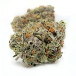 pink_kush_1-1.jpg