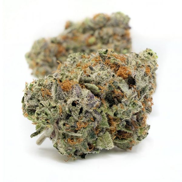 Pink Kush