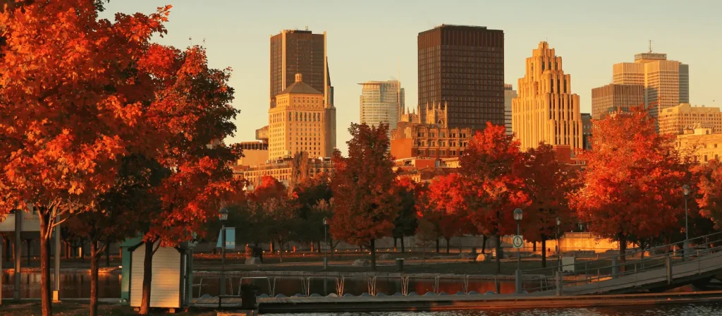 Montreal News