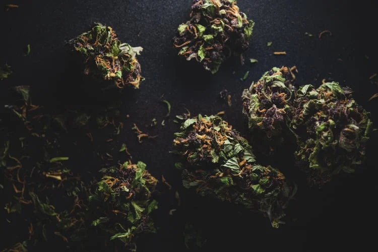 Where to Find Cheap Weed : Ganja Express, BMwo, Get Kush