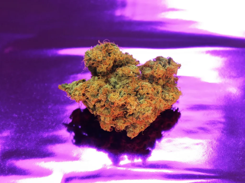 GanjaExpress