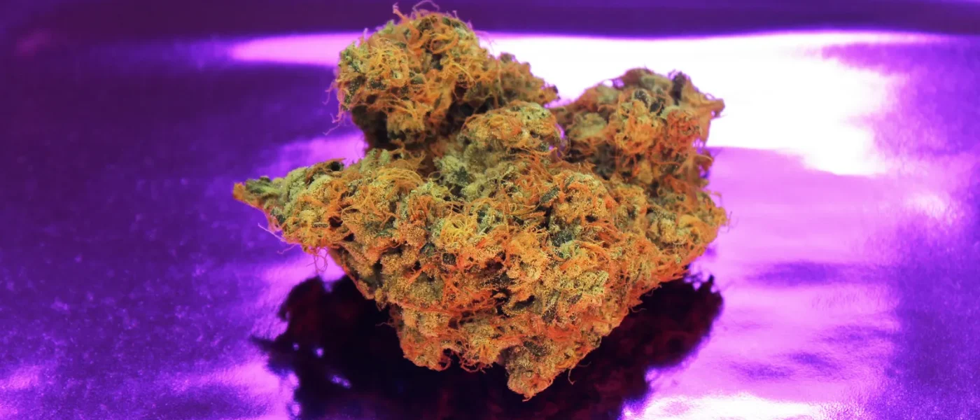 GanjaExpress: The Ultimate Online Dispensary for Quality Weed