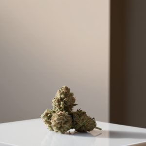 Ganja Express a plant on a white surface