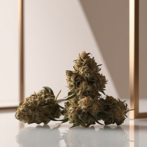 Ganja Express a group of green plants on a white surface