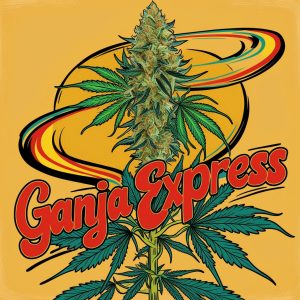 High-quality cannabis products available at Ganja Express online dispensary.