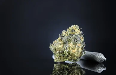 Buying Weed from CannaWholesalers – Secure, Affordable.1