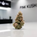distillate direct pink kush